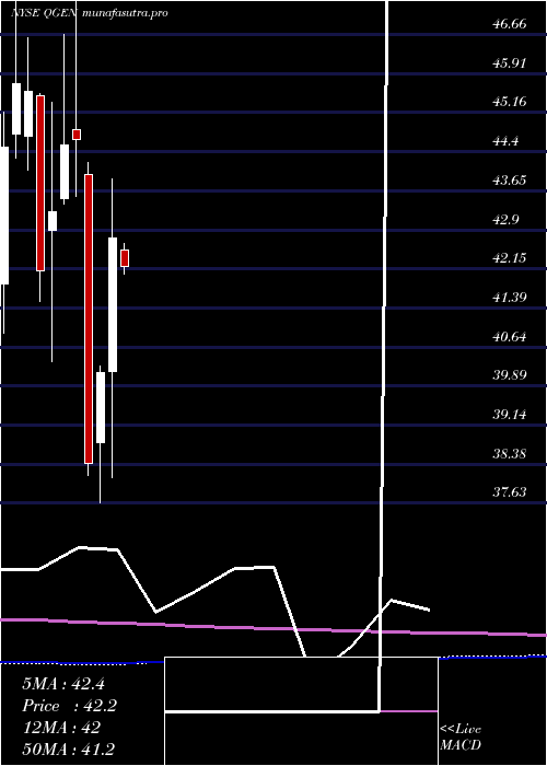 monthly chart QiagenN
