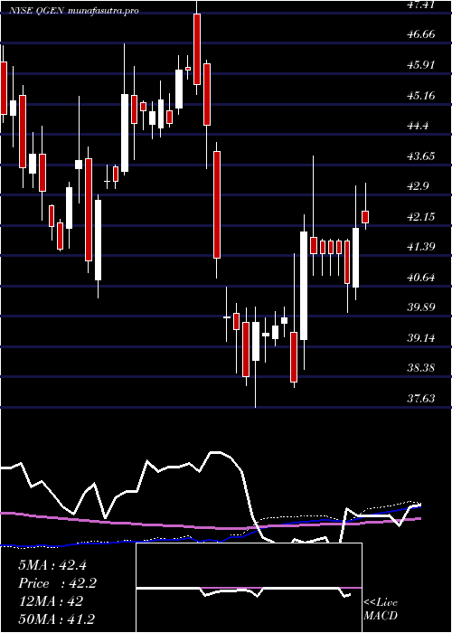 weekly chart QiagenN
