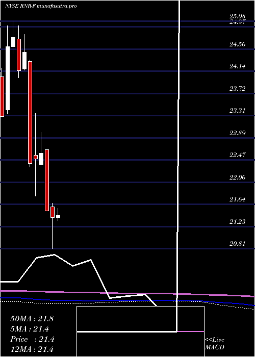 monthly chart RenaissancereHoldings