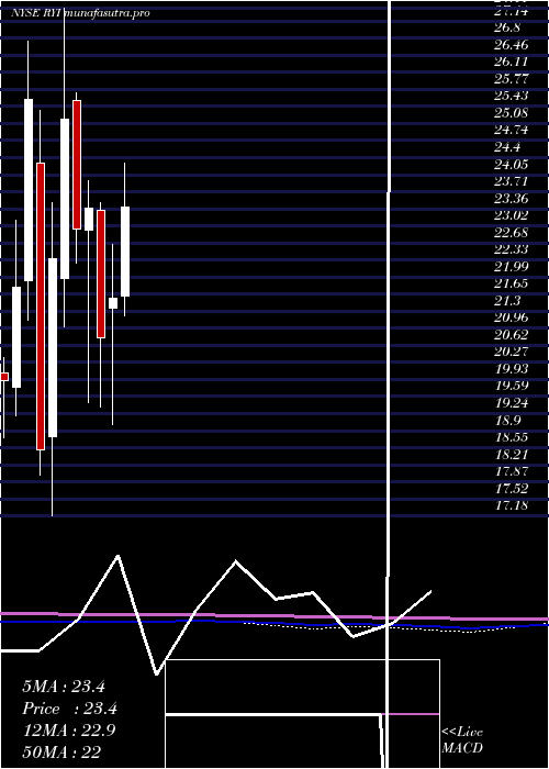 monthly chart RyersonHolding