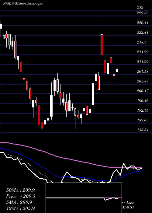 Daily chart BostonBeer