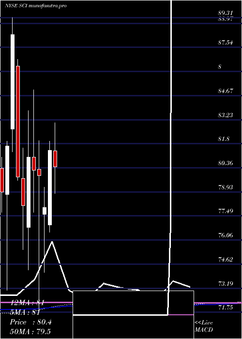monthly chart ServiceCorporation