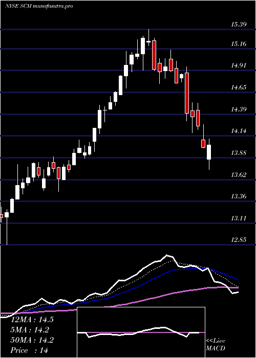  Daily chart StellusCapital