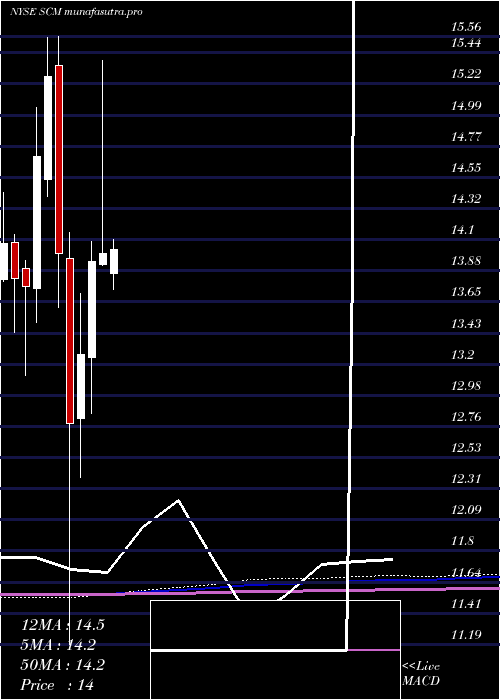  monthly chart StellusCapital