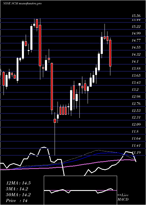  weekly chart StellusCapital