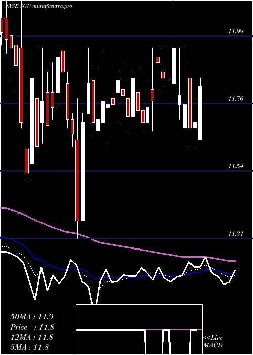  Daily chart StarGroup