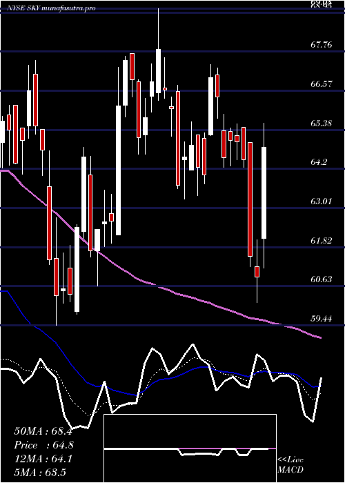 Daily chart SkylineChampion