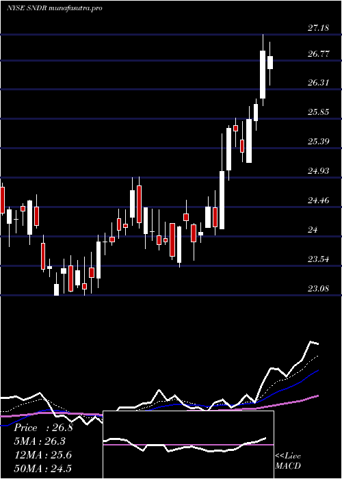 Daily chart SchneiderNational