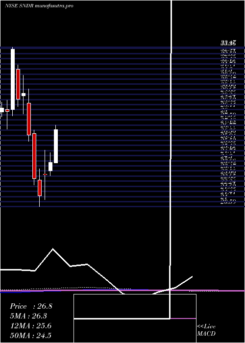 monthly chart SchneiderNational