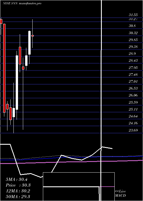 monthly chart SmithNephew