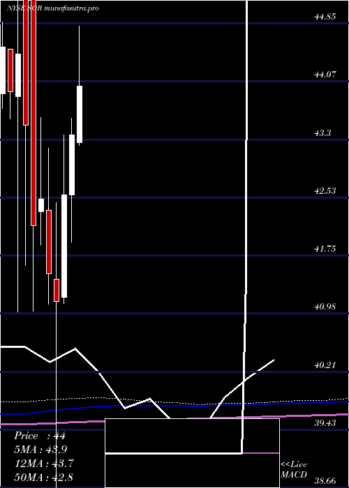 monthly chart SourceCapital