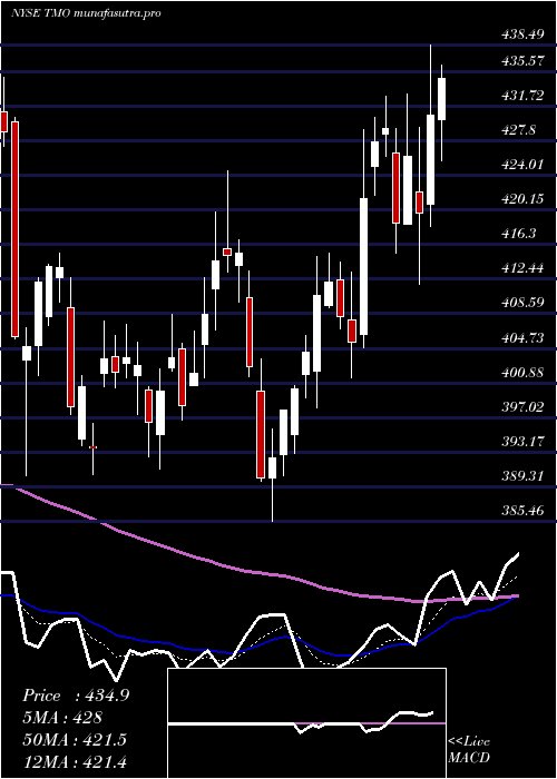 Daily chart ThermoFisher