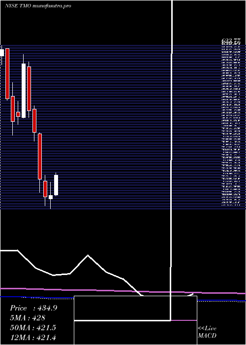monthly chart ThermoFisher