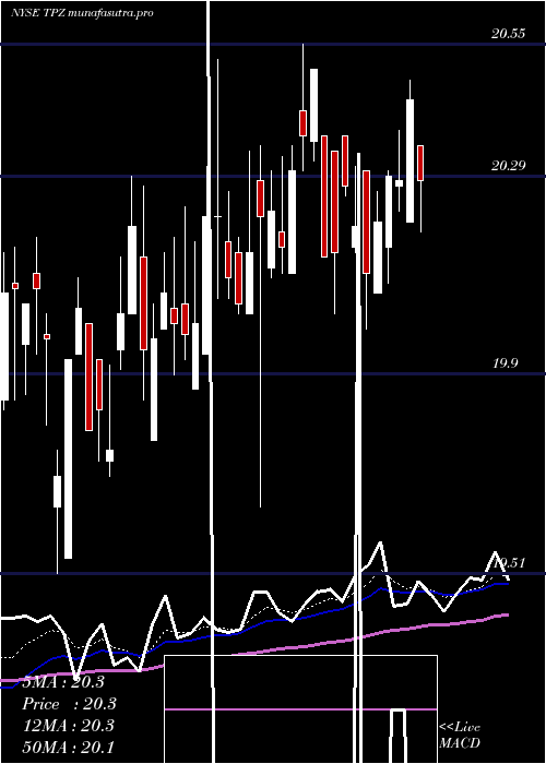 Daily chart TortoisePower