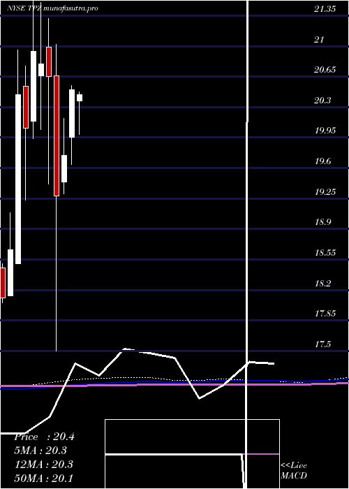 monthly chart TortoisePower