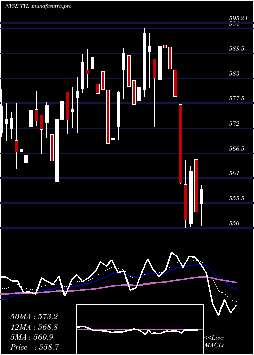 Daily chart TylerTechnologies