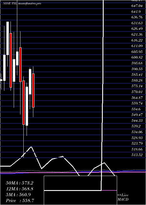 monthly chart TylerTechnologies