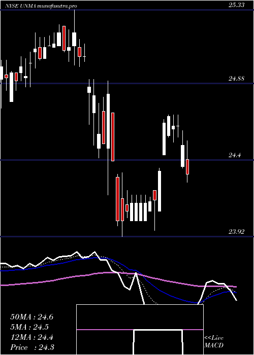 Daily chart UnumGroup