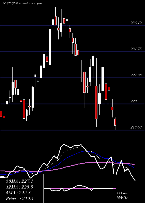 Daily chart UnionPacific
