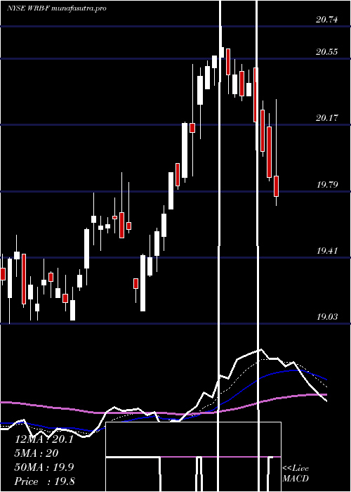 Daily chart BerkleyW