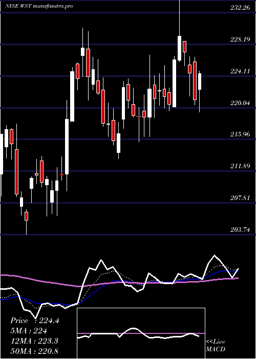 Daily chart WestPharmaceutical
