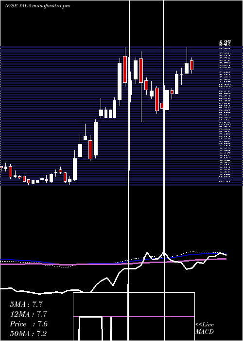  weekly chart YallaGroup