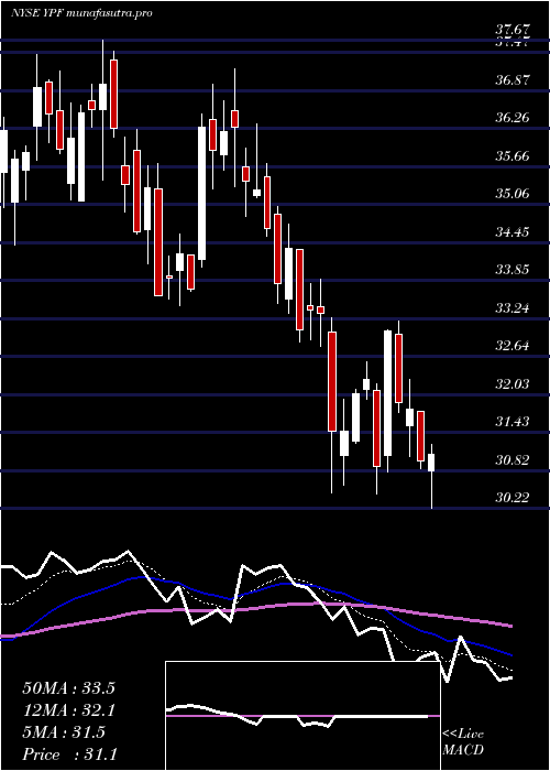 Daily chart YpfSociedad