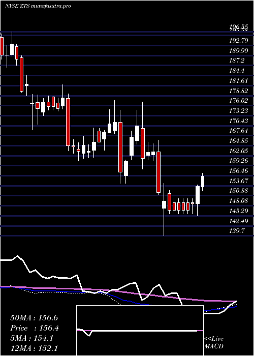  weekly chart ZoetisInc