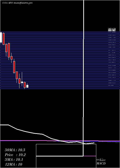 monthly chart AmericanEagle
