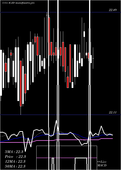 Daily chart WisdomtreeInterest