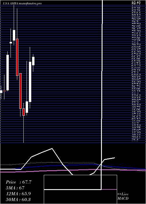 monthly chart AmbarellaInc