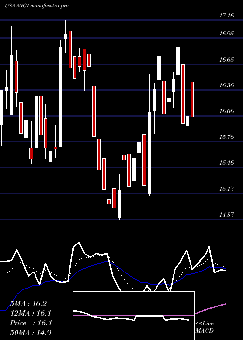 Daily chart AngiHomeservices