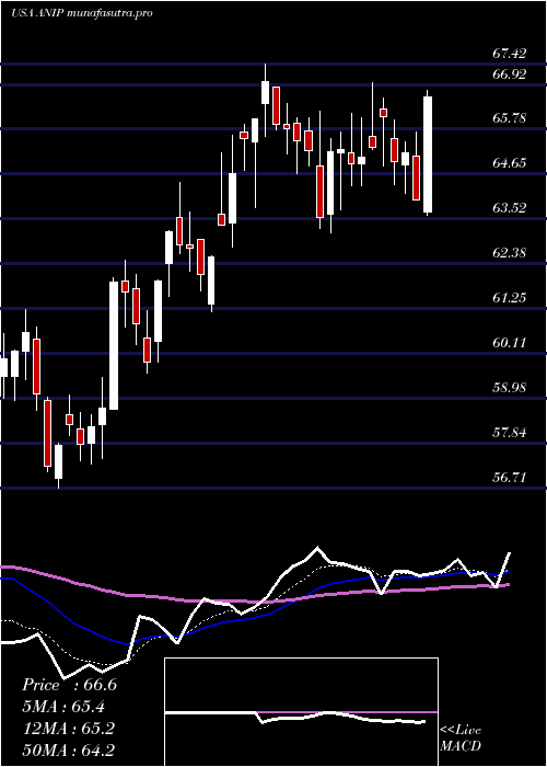 Daily chart AniPharmaceuticals