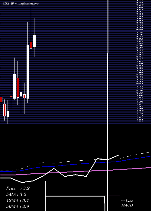 monthly chart AmpcoPittsburgh