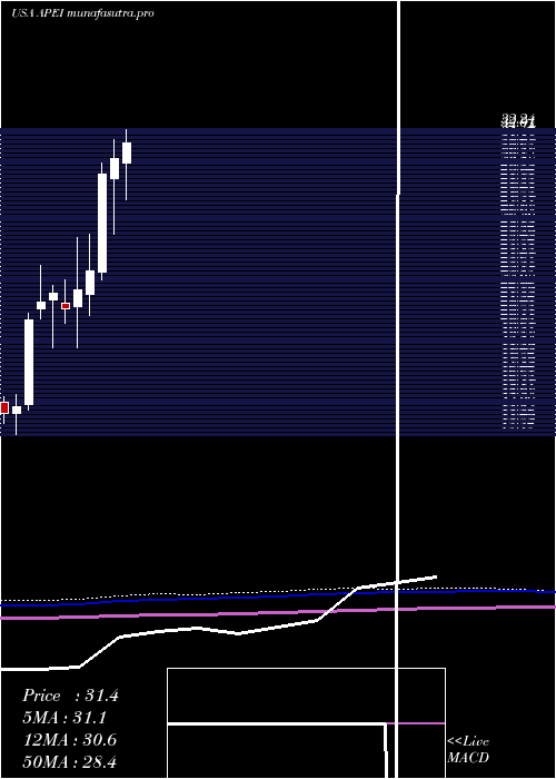 monthly chart AmericanPublic