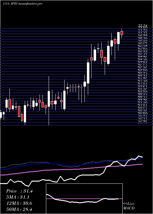 weekly chart AmericanPublic