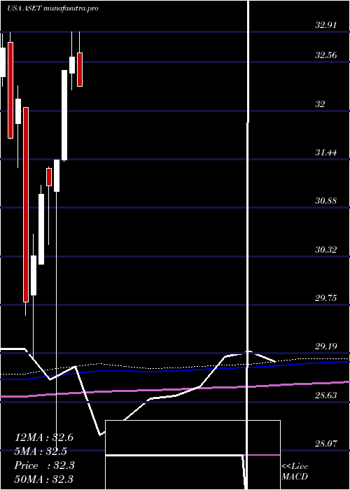 monthly chart FlexsharesReal