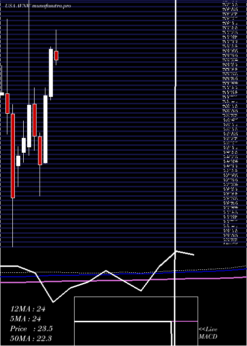 monthly chart AviatNetworks