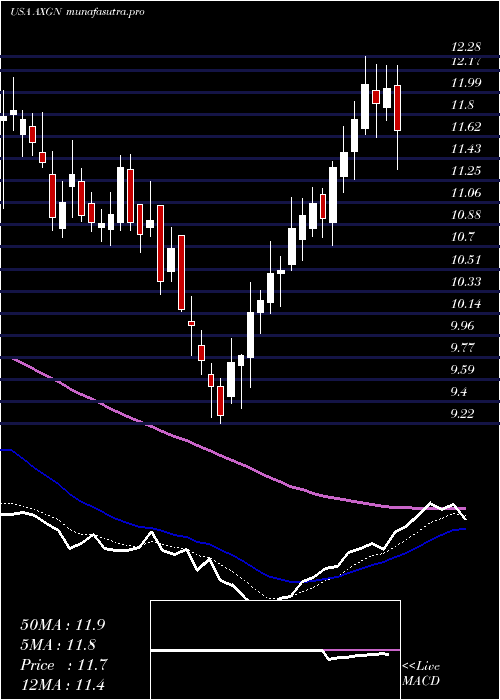 Daily chart AxogenInc