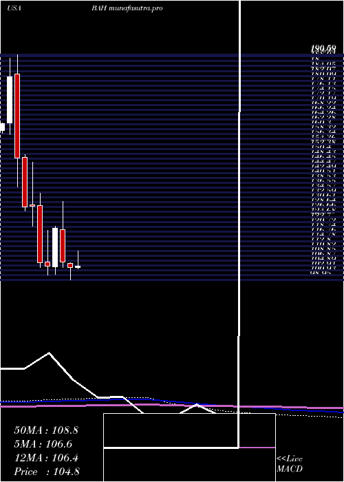 monthly chart BoozAllen