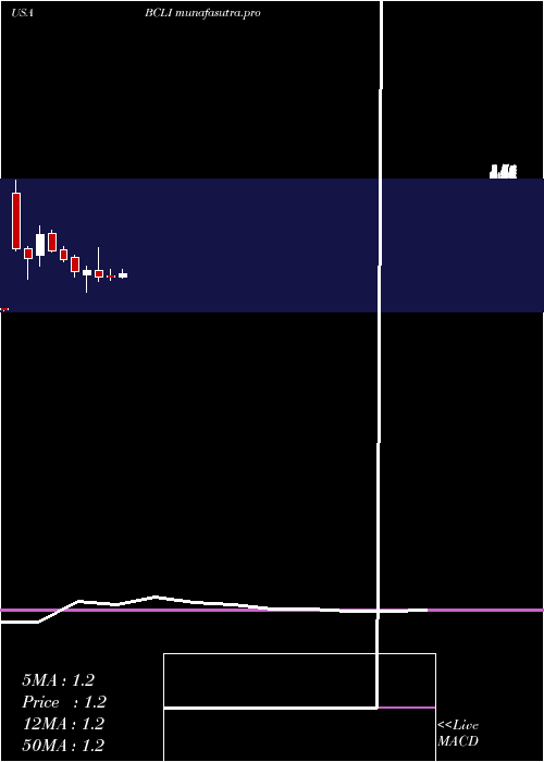 monthly chart BrainstormCell
