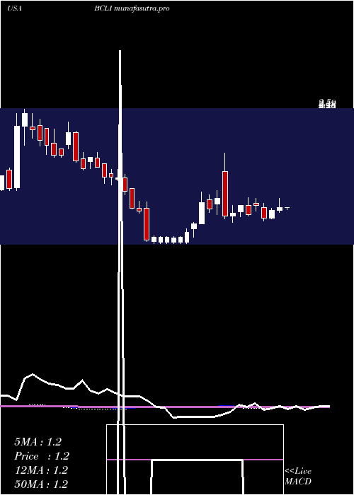 weekly chart BrainstormCell