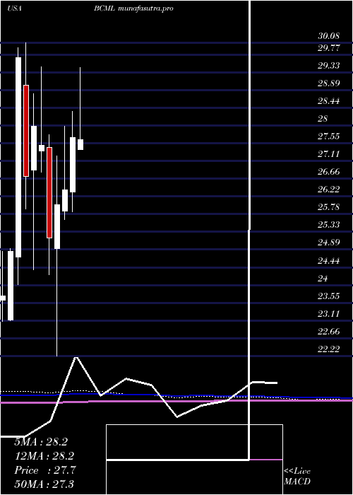 monthly chart BaycomCorp