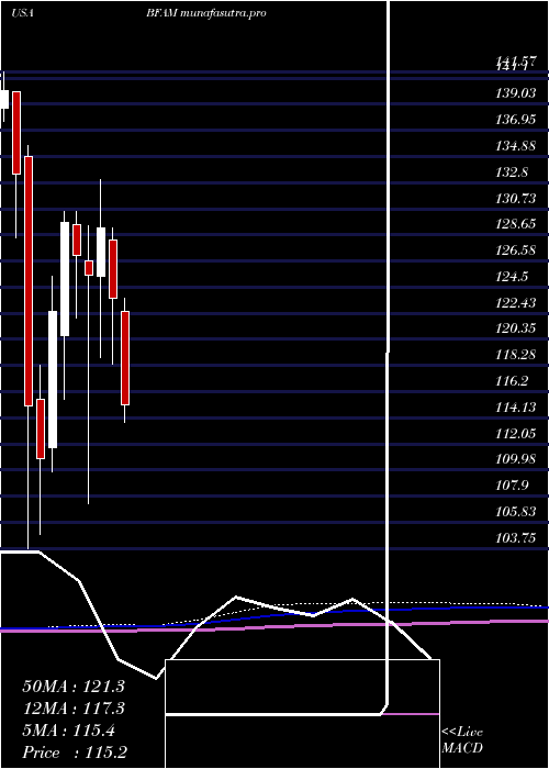 monthly chart BrightHorizons