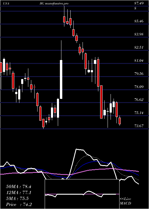 Daily chart Bunge