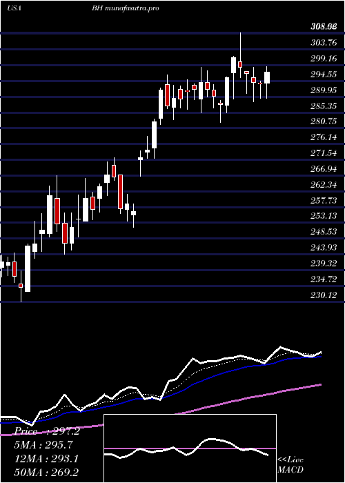 Daily chart BiglariHoldings