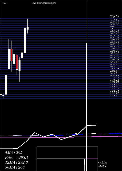 monthly chart BiglariHoldings