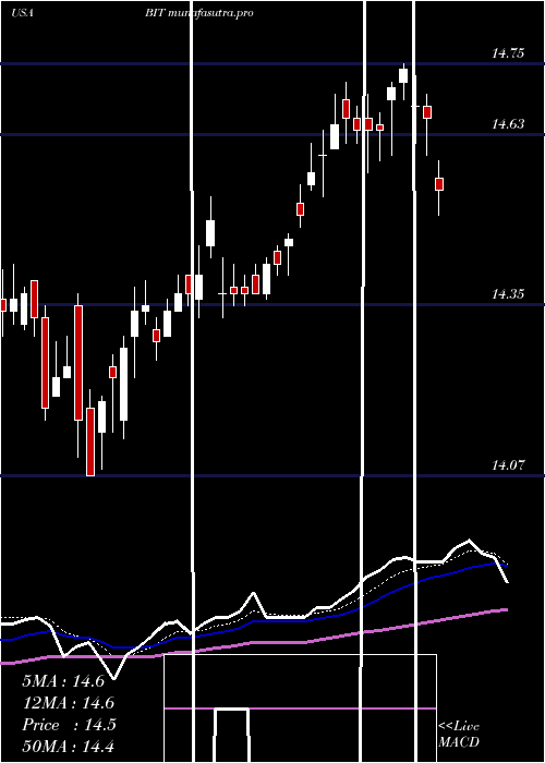 Daily chart BlackrockMulti