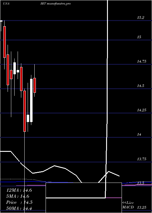 monthly chart BlackrockMulti