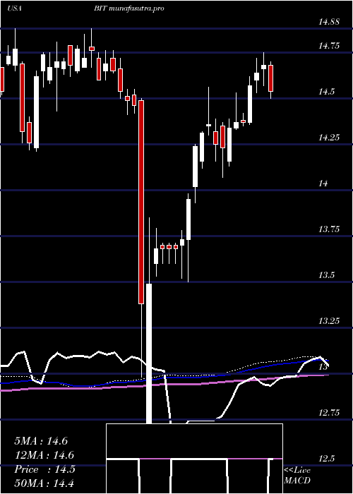 weekly chart BlackrockMulti